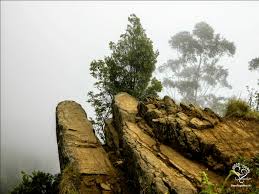 Dolphins Nose Kodaikanal